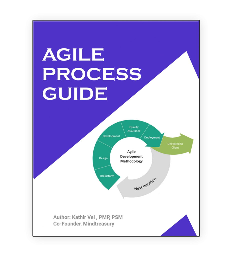 Agile Process Guide